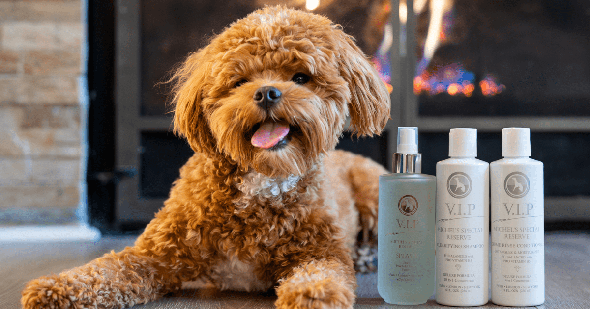 Les Poochs Matt Zapper enkel – van der Hulst – Specials Les Poochs Matt Zapper enkel – van der Hulst – Specials
