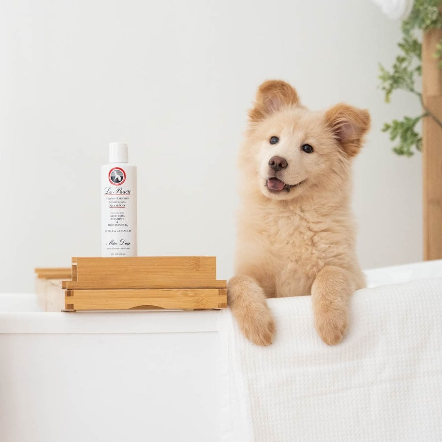 Le pooch dog shampoo best sale