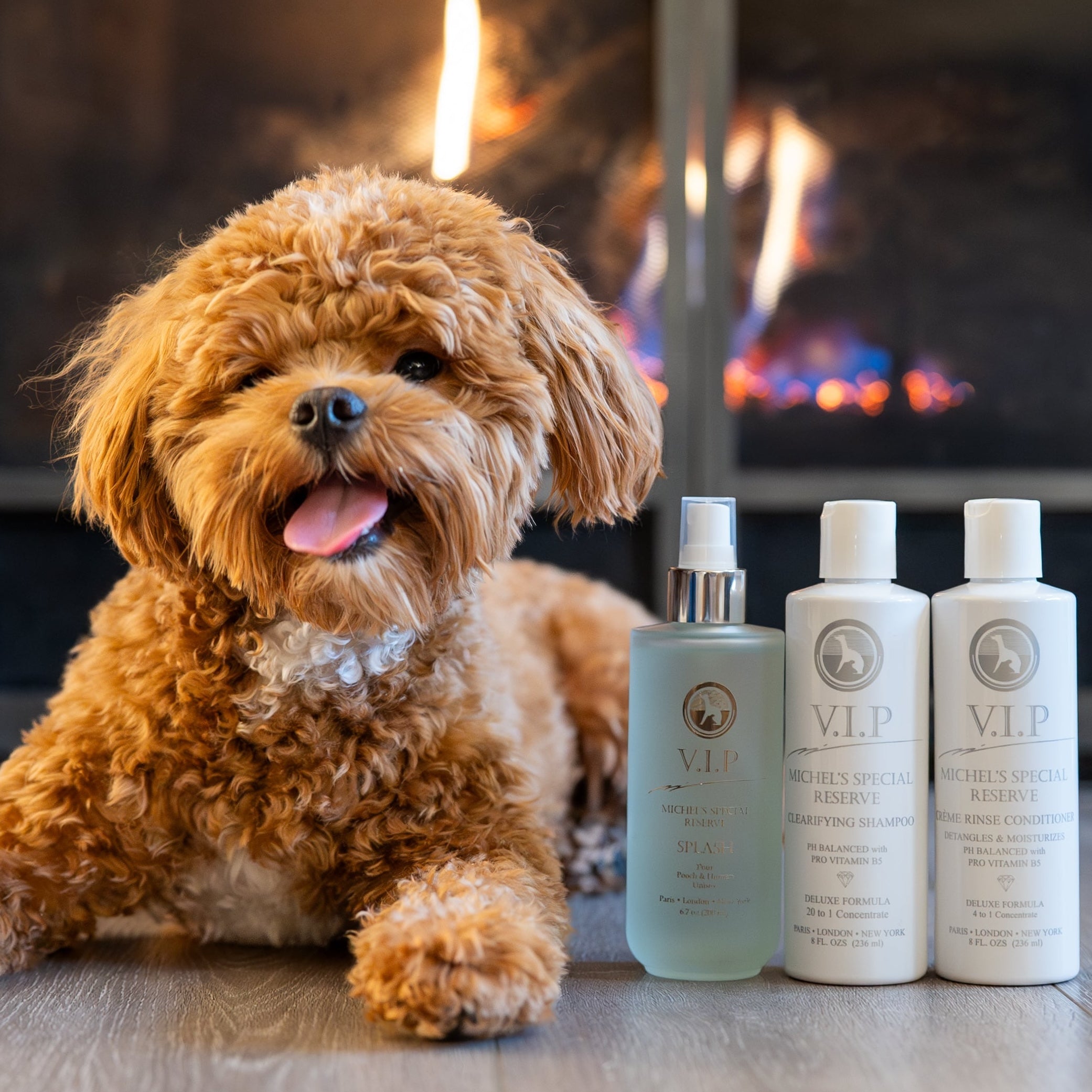 Best Smelling Dog Shampoo Les Poochs Clarifying Shampoo