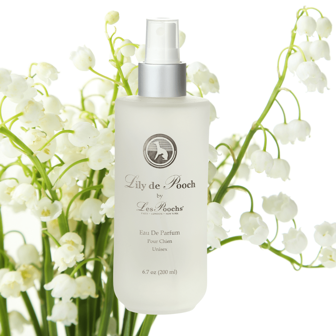 lily flower scent Lily de Pooch Unisex Dog Fragrance